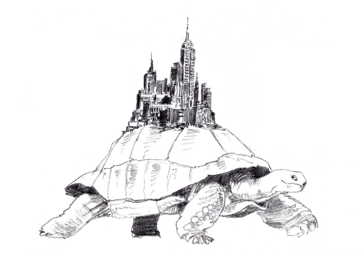 tortue monde