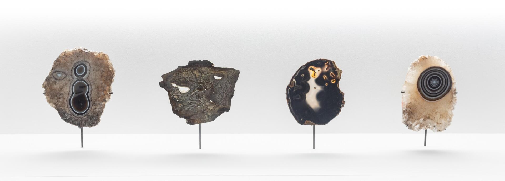 © Daniele Molajoli, Collection Roger Caillois, 1988