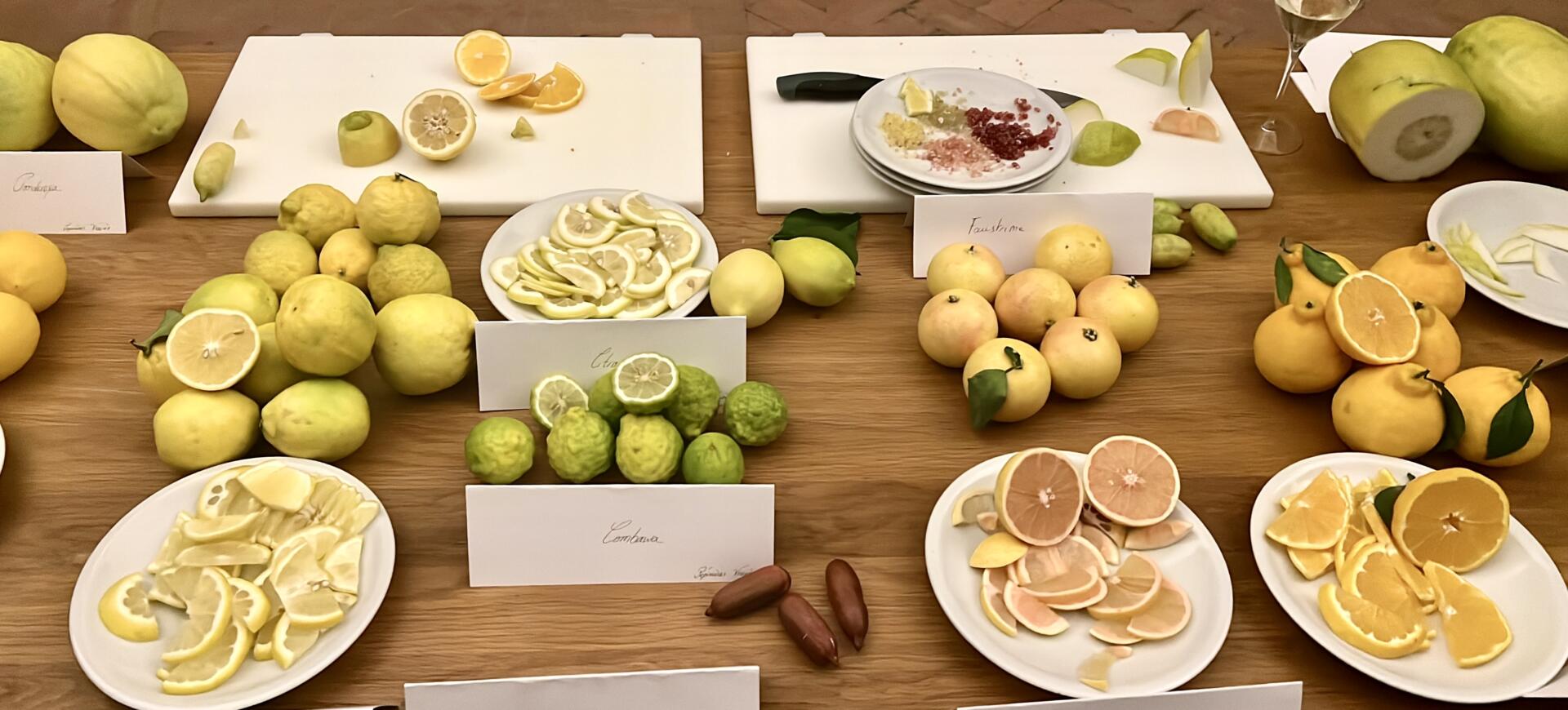 Image diner des citrons